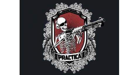 В гостях у Практики