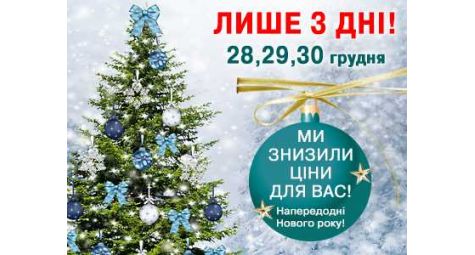 Новогодние цены 28,29,30 декабря 2017