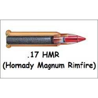 Патрон .17 HMR – выбор охотников и стрелков