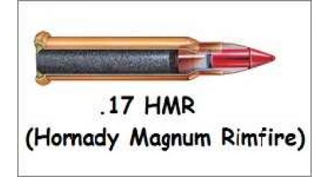 Патрон .17 HMR – выбор охотников и стрелков