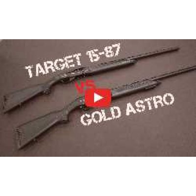 Target 1587 vs Gold Astro. Відеоогляд
