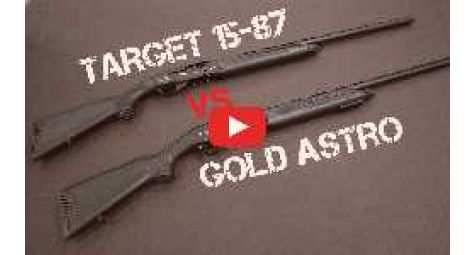 Target 1587 vs Gold Astro. Видеообзор