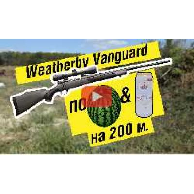 Weatherby Vanguard 2 | Стрельба на 200м.