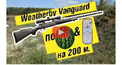 Weatherby Vanguard 2 | Стрельба на 200м.