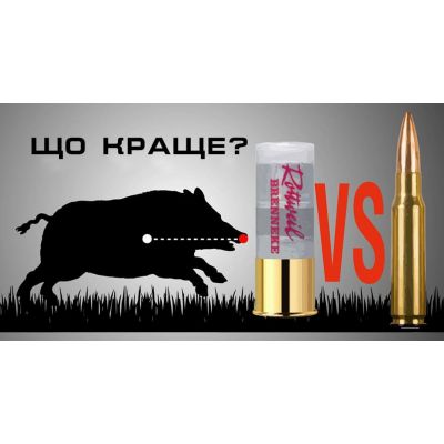 Гладкоствольное и нарезное оружие. Что лучше для охоты на кабана?