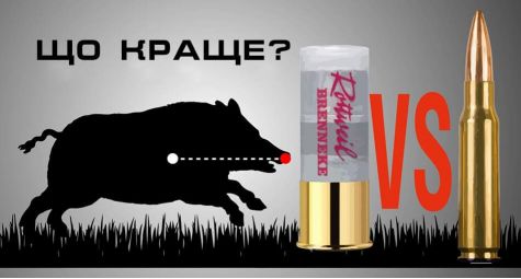 Гладкоствольное и нарезное оружие. Что лучше для охоты на кабана?