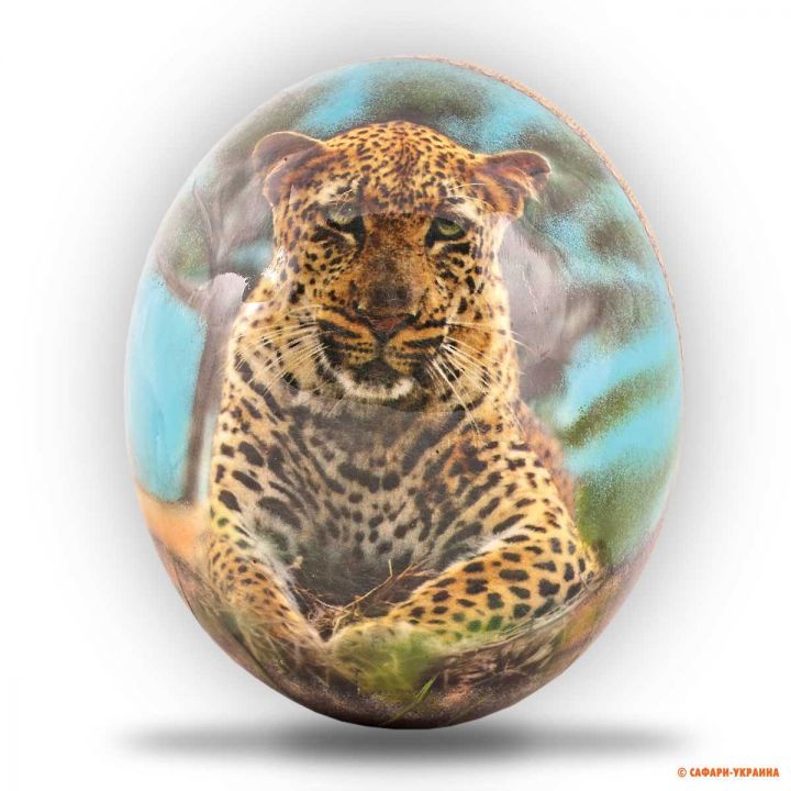 Сувенір ручної роботи яйце страуса Decoupage Egg Leopard, з малюнком леопарда, 15 х 12 см 