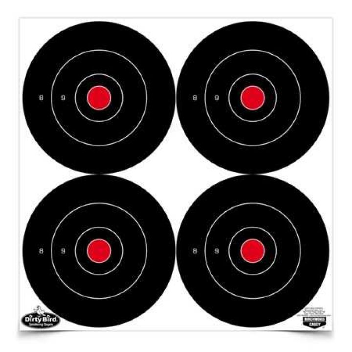 Мішень для стрільби Birchwood Casey Bull`s-eye Targets, 15 см, 48 мішеней 