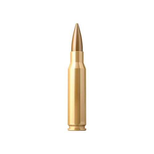 Патрон Sellier & Bellot кал.308 Win(7,62/51), пуля FMJ, масса 11,7 gr/180 grs. (за шт.)