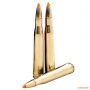 Патрон Federal Premium V-Shok, кал.300 H&H, Trophy Bonded® Tip, вага: 11,7 g/180 grs 