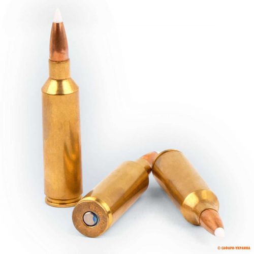 Патрон Federal Premium Vital-Shok, кал.270 Win, Accubond, вага: 9,0 g/140 grs 