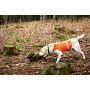 Сигнальная шлея для охотничих собак Harkila Dog waistcoat