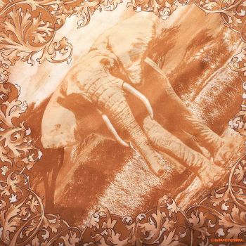 Платок на шею Holland & Holland, 90 х 90 см, оранжевый с рисунком слона