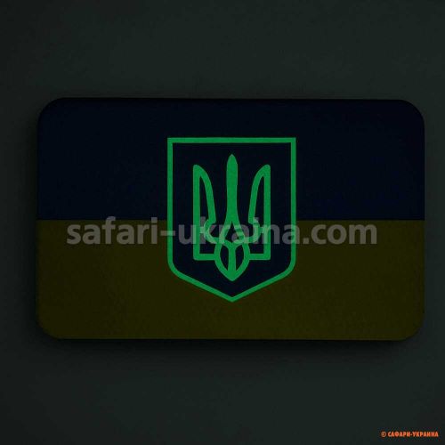 M-Tac нашивка прапор України з гербом (80х50 мм) Full color/GID 
