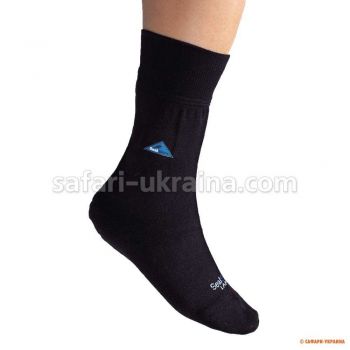 Чоловічі непромокальні термошкарпетки SealSkinz ChillBlocker Socks, утеплені