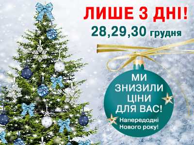 Новогодние цены 28,29,30 декабря 2017