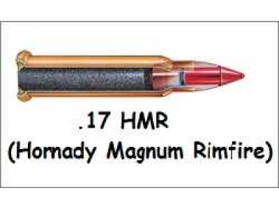 Патрон .17 HMR – выбор охотников и стрелков