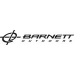 Barnett (США)