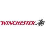 Winchester (США)