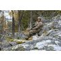 Куртка для полювання Seeland Polar jacket, утеплювач Thinsulate, колір Realtree Xtra 