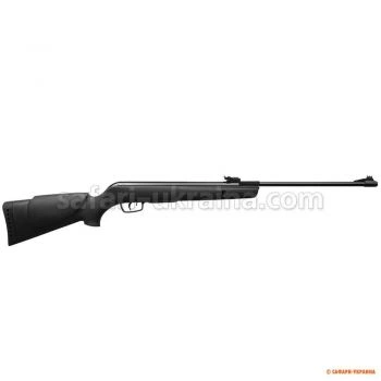 Гвинтівка пневматична Gamo Big Cat 1000-E